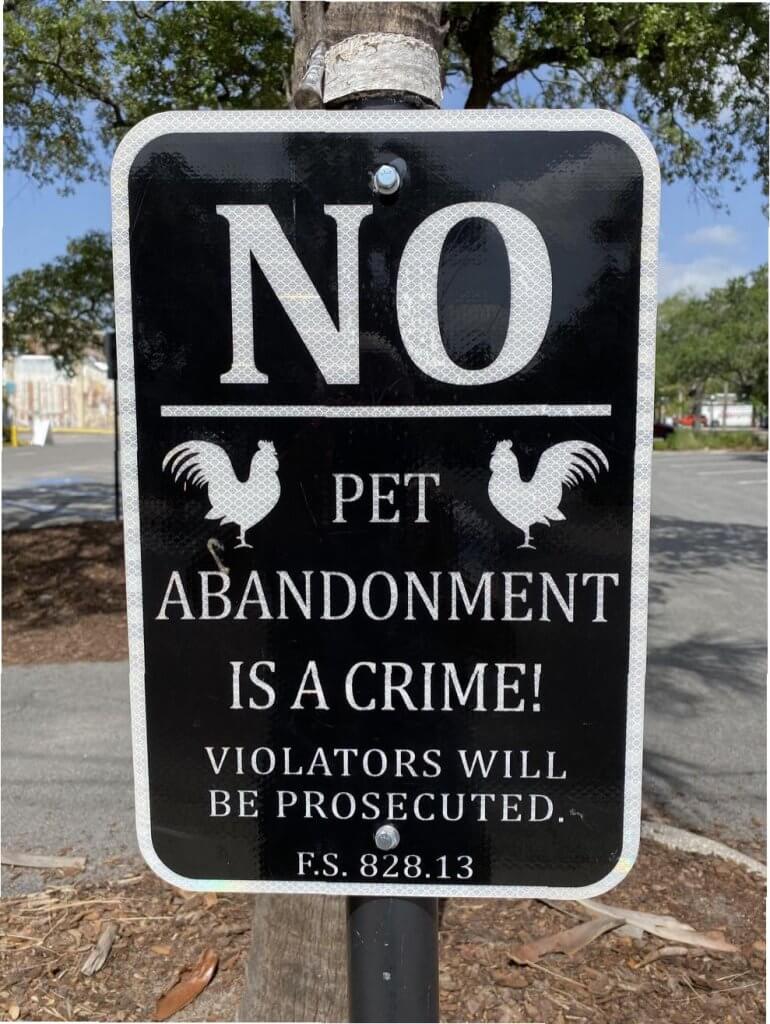 Street Rooster Sign, Ybor City (Tampa), FL